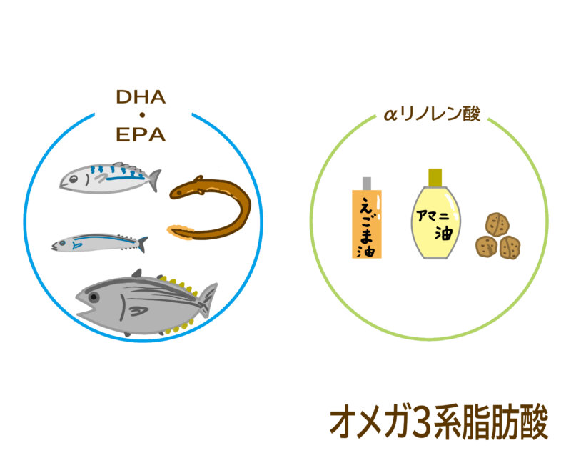 オメガ3系脂肪酸食品イラスト