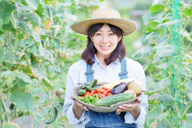 収穫した野菜を見せる女性